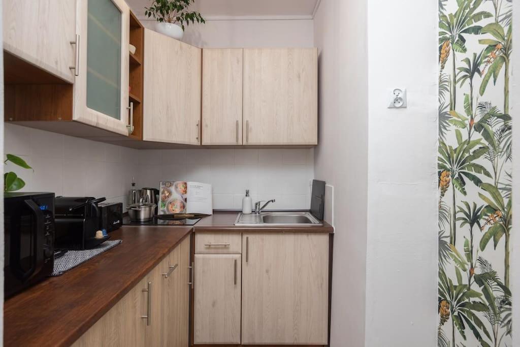Specious City Center Studio With Park View Warschau Exterior foto